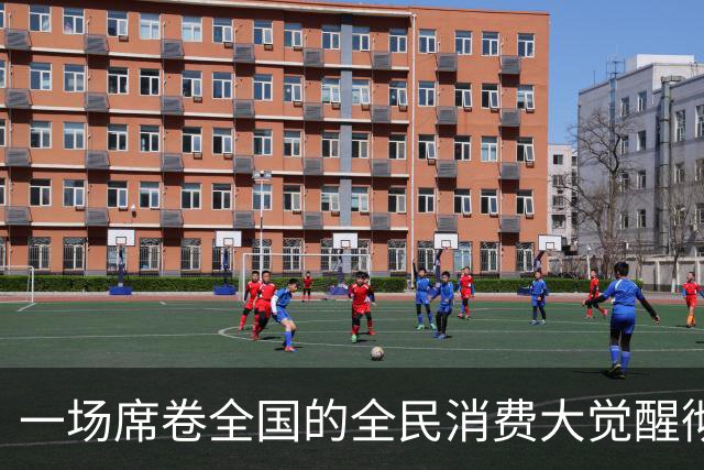 一场席卷全国的全民消费大觉醒彻底爆发。