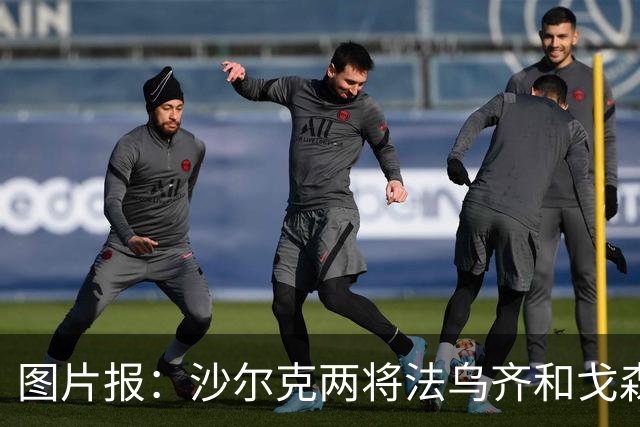 图片报：沙尔克两将法乌齐&戈森斯严重撞伤，将缺席杯赛