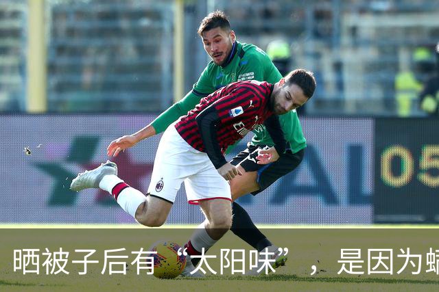 晒被子后有“太阳味”，是因为螨虫被烤焦了？科学家：太阳的功劳